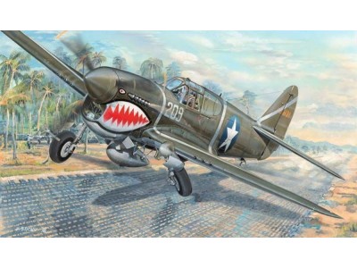 P-40F War Hawk 