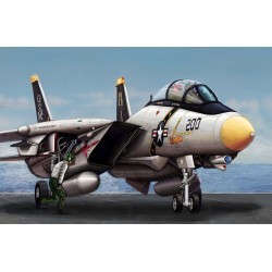 F-14A Tomcat 