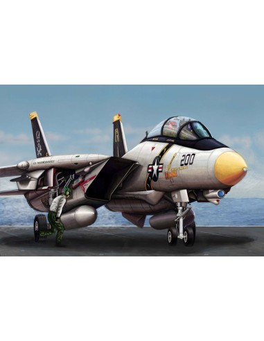 F-14A Tomcat 
