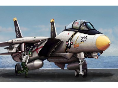 F-14A Tomcat 