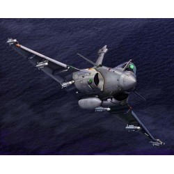 French Rafale M 