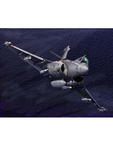 French Rafale M 