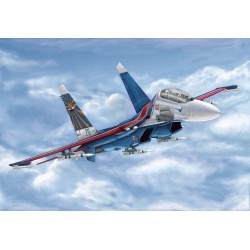 Russian Su-27UB Flanker C 