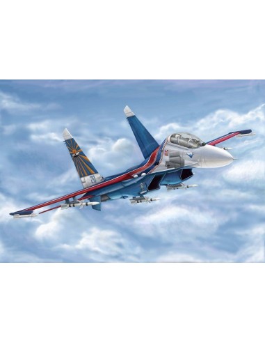 Russian Su-27UB Flanker C 