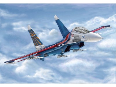 Russian Su-27UB Flanker C 