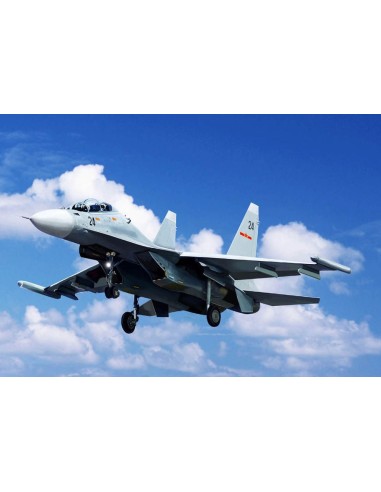 Russian Su-30MK Flanker G 