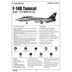 F-14B Tomcat  2
