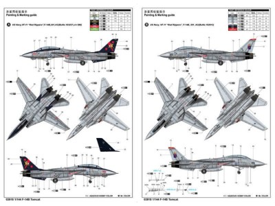 F-14B Tomcat 