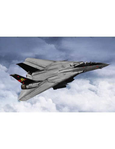 F-14B Tomcat 