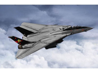 F-14B Tomcat 