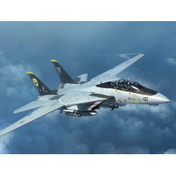 F-14D Tomcat 