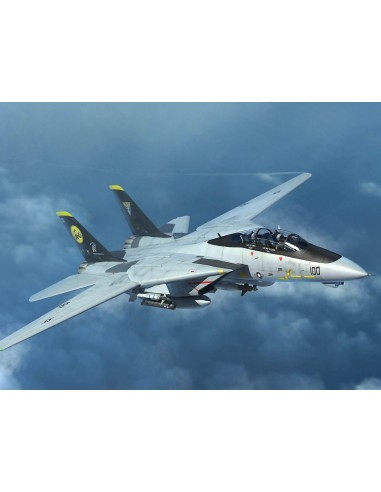 F-14D Tomcat 