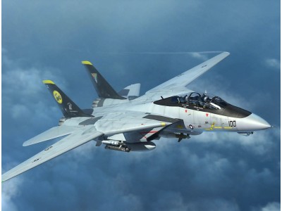 F-14D Tomcat 