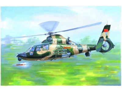 Chinese Z-9WA Helicopter 