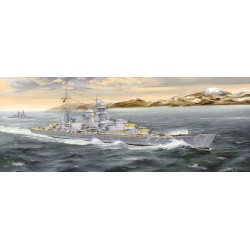 German Heavy Cruiser Blucher 