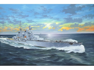 Italian Heavy Cruiser Pola 