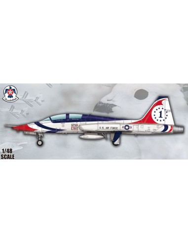 US T-38A Talon-Thunderbird 
