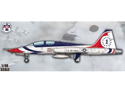US T-38A Talon-Thunderbird 