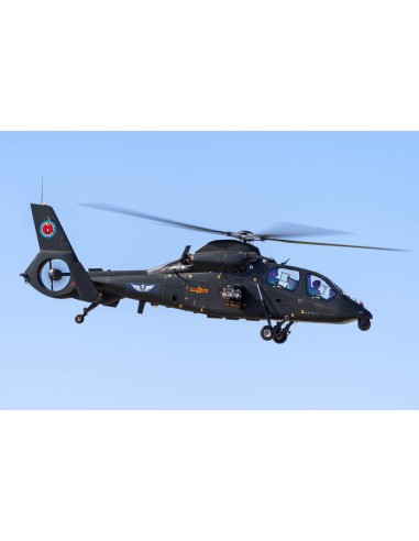 Z-19 