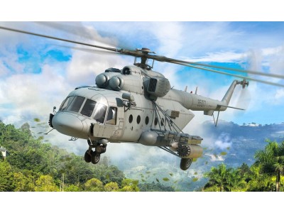 Russian Mi-171Sh Hip 