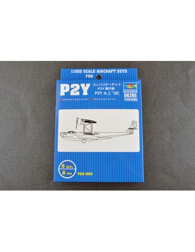 P2Y 