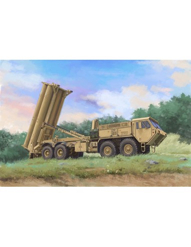 Terminal High Altitude Area Defence (THAAD) 