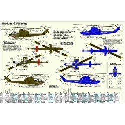 AH-1G Pale Raider 