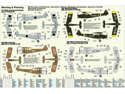 RWD-8 Spanish Civil War 1936 