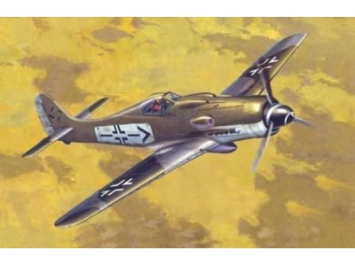Fw-190D-9 Rudel 