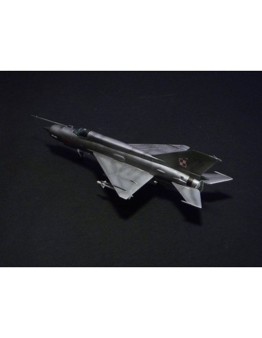 MiG-21MF Tomcat Killer 