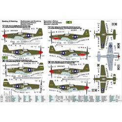 P-51 B-1 BullFrog I 