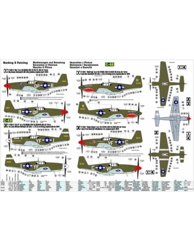 P-51 B-1 BullFrog I 