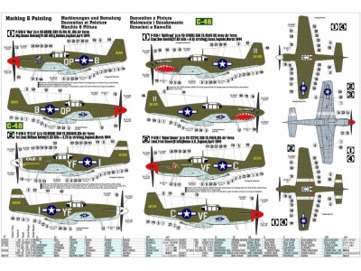 P-51 B-1 BullFrog I 
