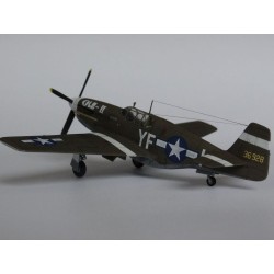 P-51 B-1 BullFrog I  2