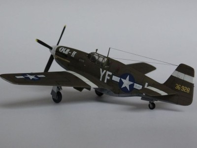 P-51 B-1 BullFrog I 
