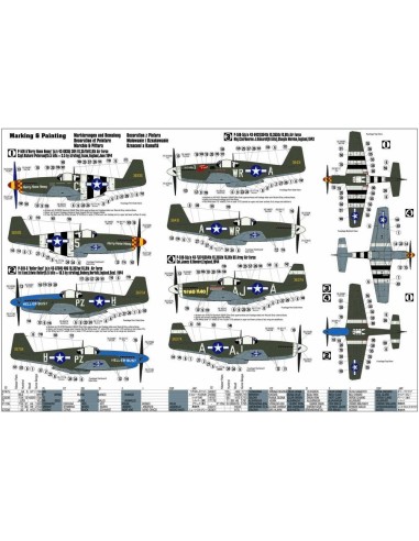 P-51 B-5 Hurry Home Honey 