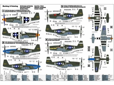 P-51 B-5 Hurry Home Honey 