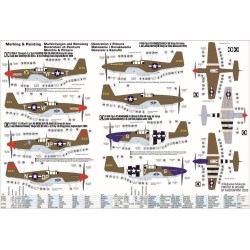 P-51 B-7 Shangri LA 