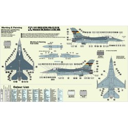 F-16C-30 Ramstain Dragon 