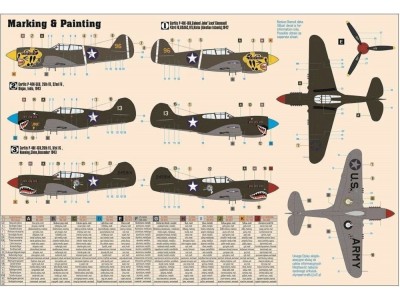 P-40E Aleutian Tiger 