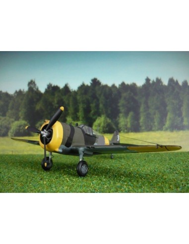P-36/H.75 Hawk 