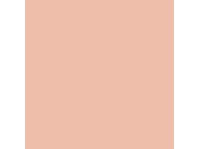 Pale Flesh 400 ml 