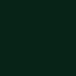 Dark Green 60 ml 