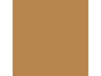 019 - Medium Fleshtone 18 ml 
