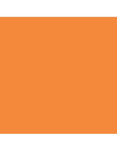 029 - Light Orange 18 ml 