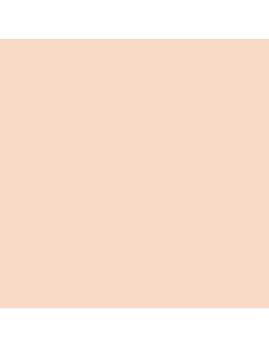 005 - Light Flesh 18 ml 