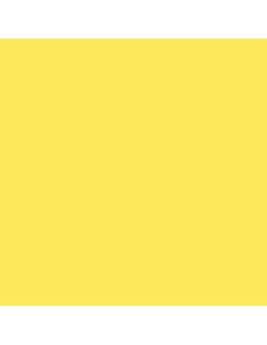 024 - Light Yellow 18 ml 