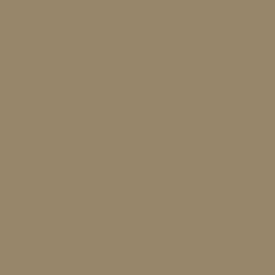 Yellow Brown RAL8031 18 ml 