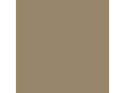 Yellow Brown RAL8031 18 ml 