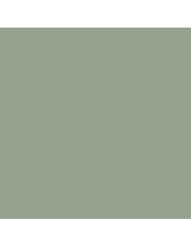 Interior Grey Green 18 ml 
